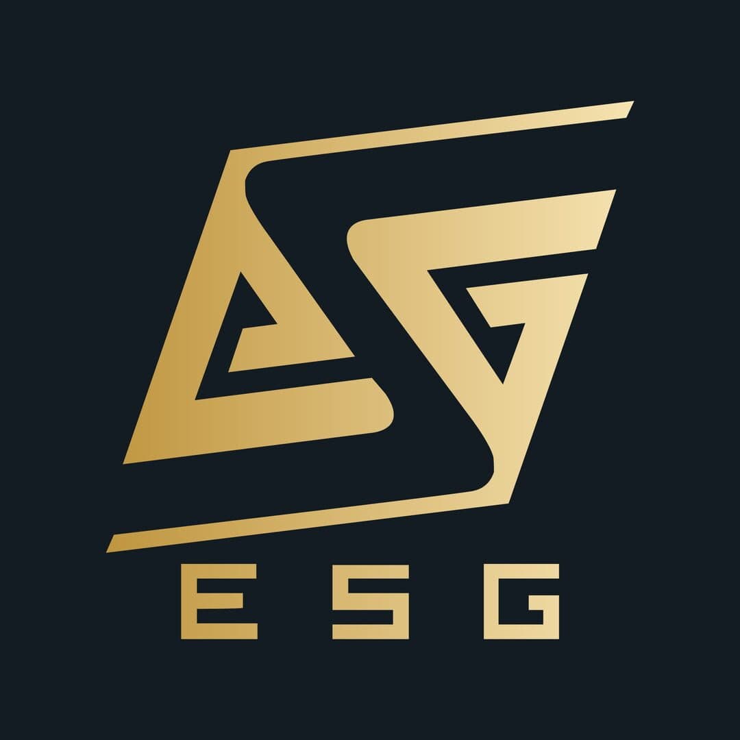 ESG Football — image 1