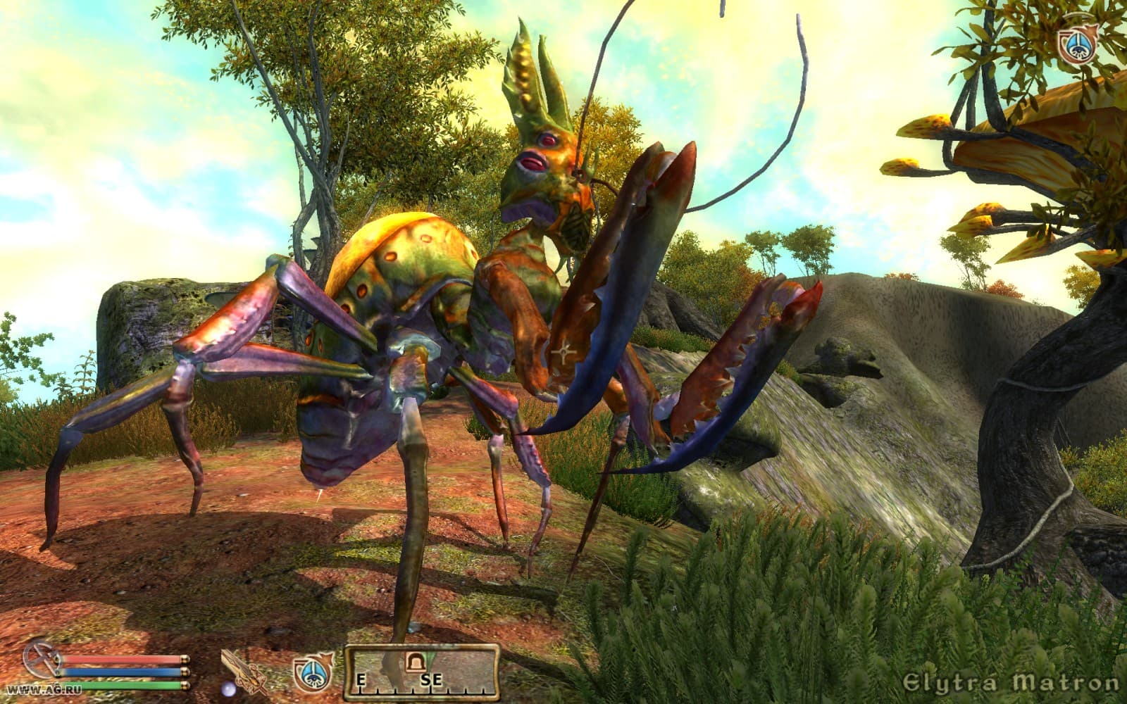 The Elder Scrolls 4: Shivering Isles — image 1