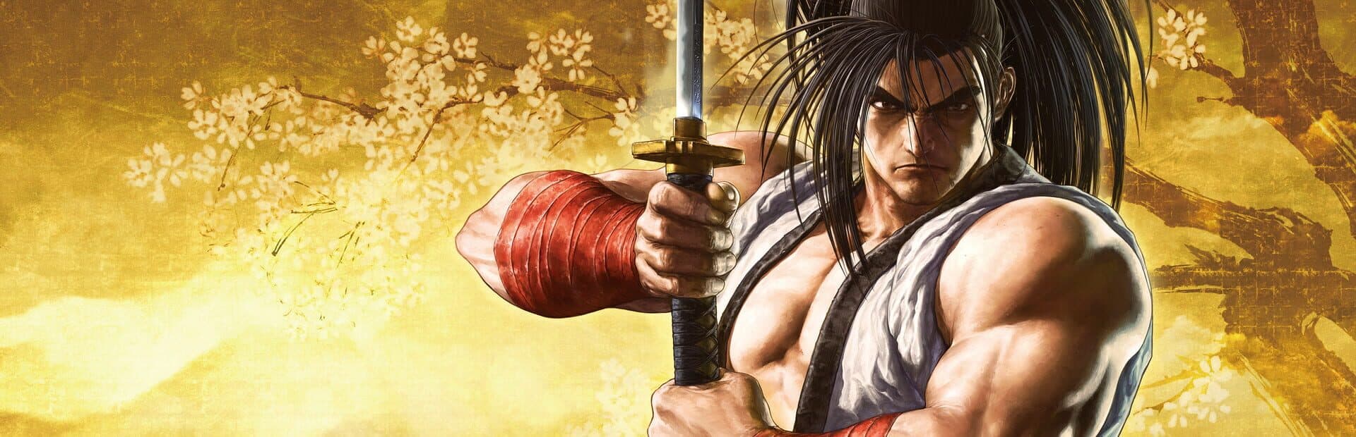 Samurai Shodown — image 1