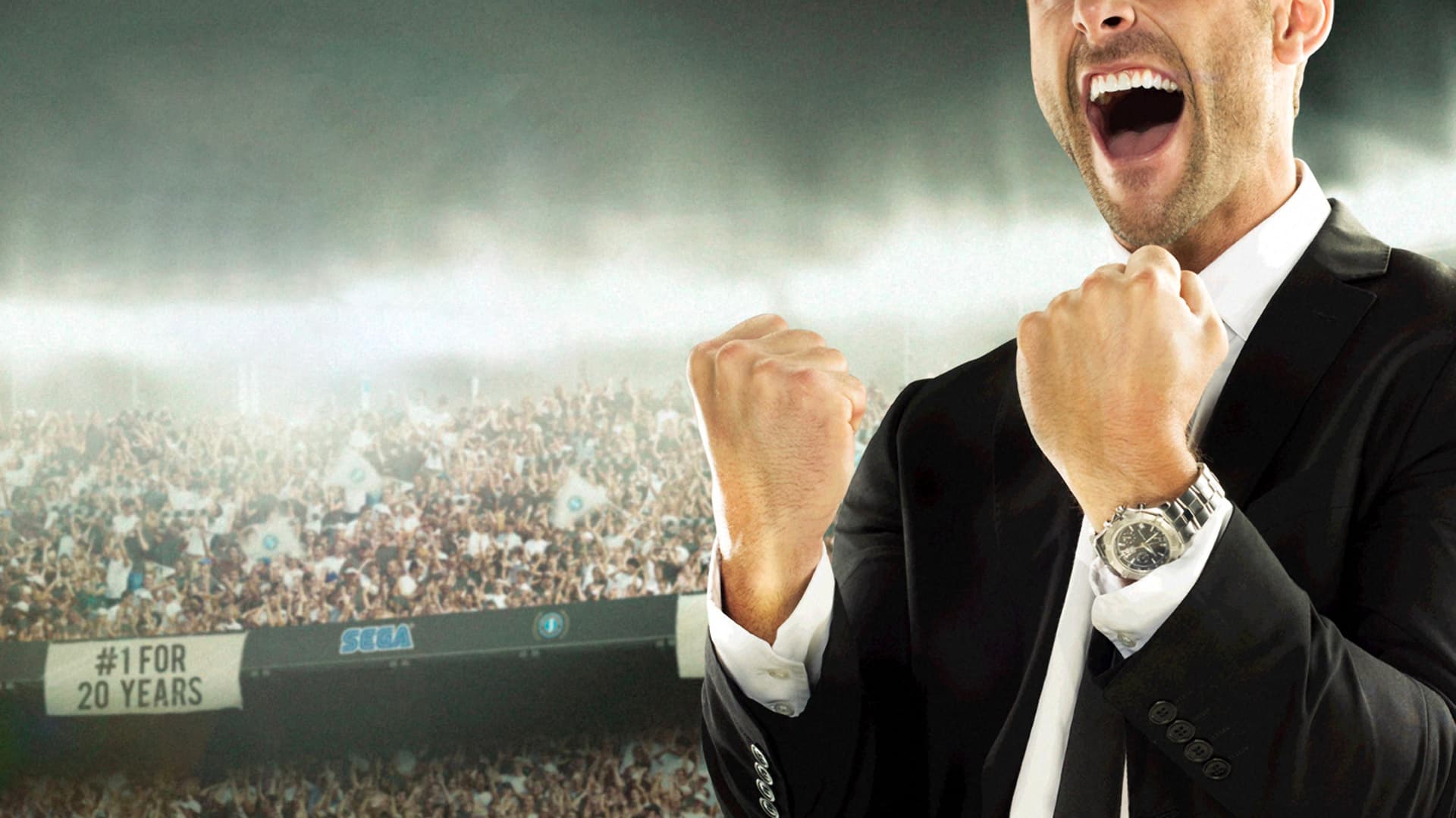 Football Manager 2013 — image 1