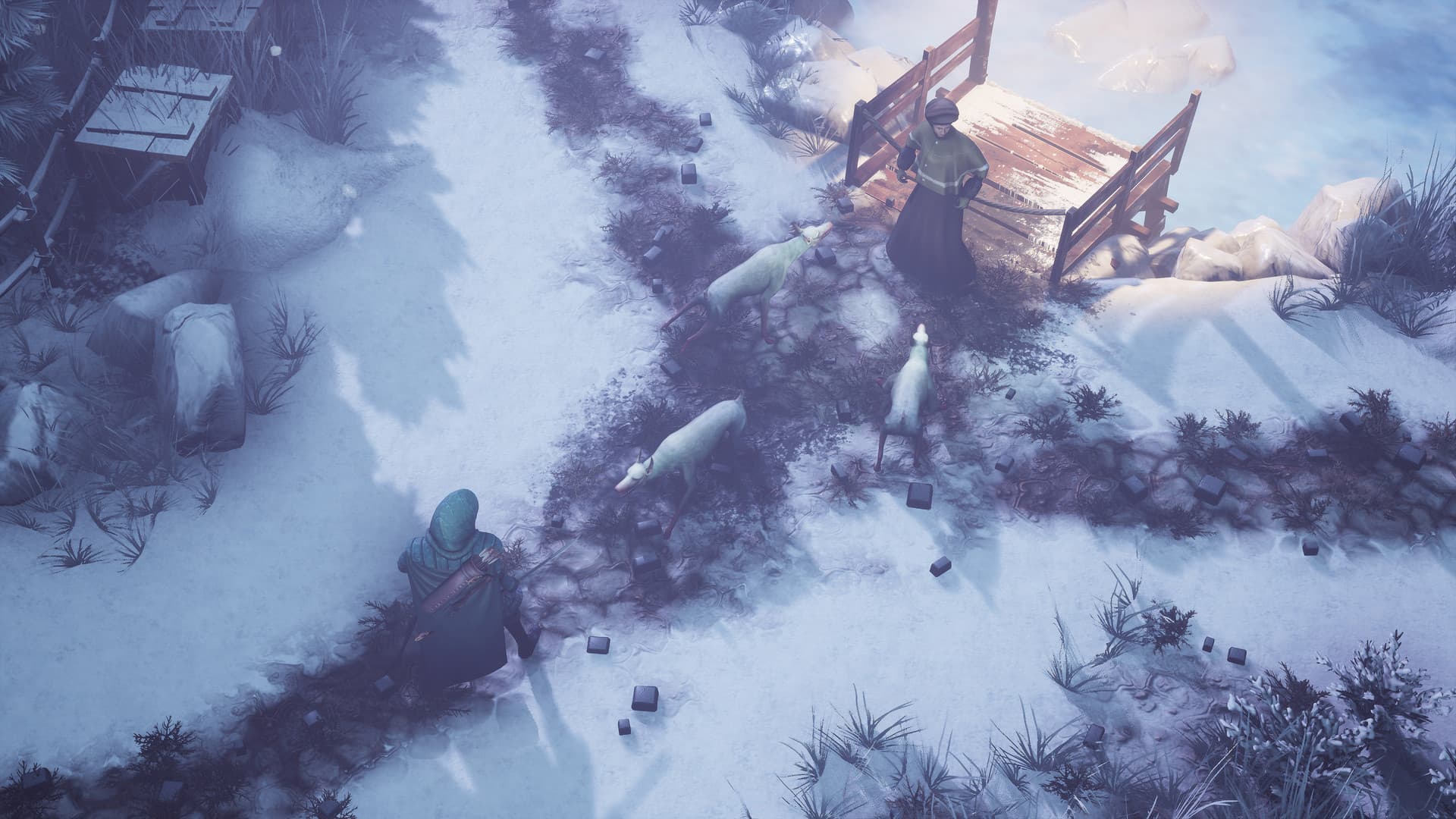 Winter Ember — image 1
