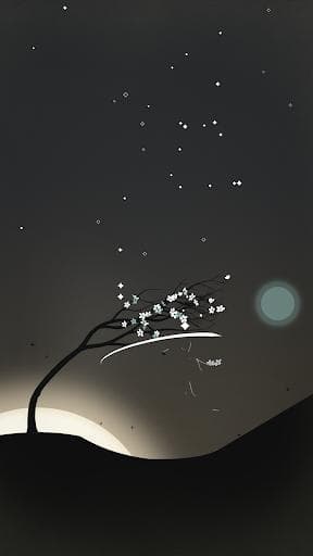 Prune — image 1